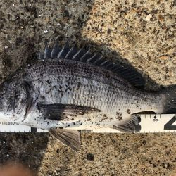 イチノ兄弟、釣果!