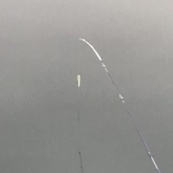 冬はやっぱり釣り堀⁉︎