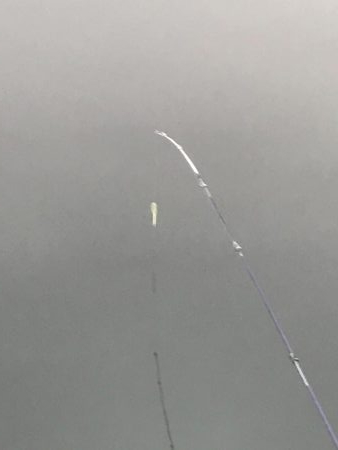 冬はやっぱり釣り堀⁉︎