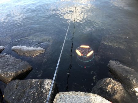 エビ撒きハネ釣りなんですけど何か？