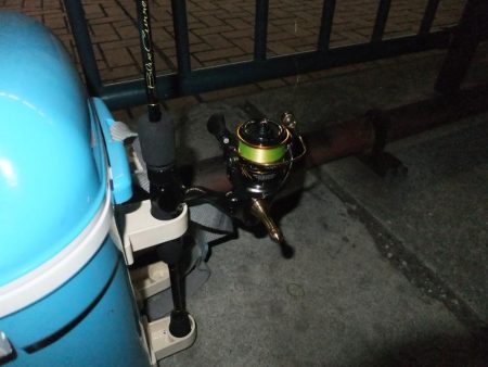 久々のアジング