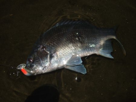 秋のハイシーズンは終了