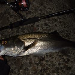 ライトゲームを満喫