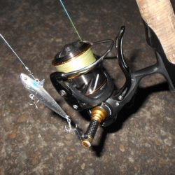 やっぱローリングベイトですよ♪