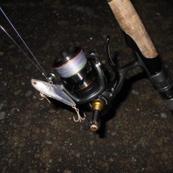 サルベージソリッドのソリッドクリアが効く?