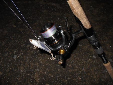 サルベージソリッドのソリッドクリアが効く?