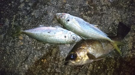 そろそろ終わり？