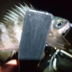 雨の中少しだけ