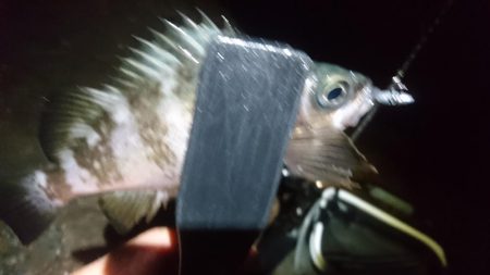 雨の中少しだけ