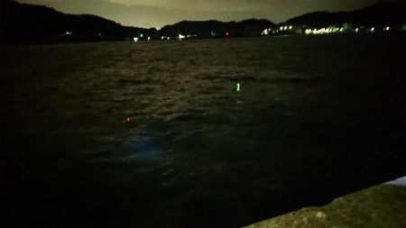 今年最後!アオリ、尺アジ、マダイはくるか