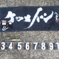 黙ってセットアッパー投げとけ！