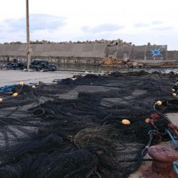 釣り納め（2回目）