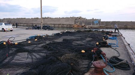 釣り納め（2回目）