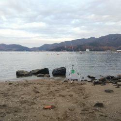 今日も寂しい釣果‼️