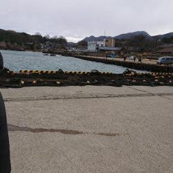 釣り納め（4回目）