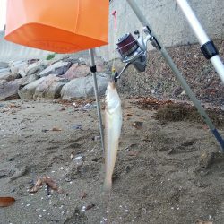 今年最後の釣・・その２