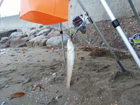 今年最後の釣・・その２