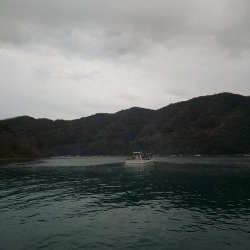 12月なのに超新子