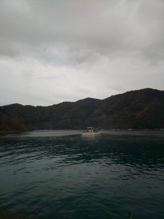 12月なのに超新子