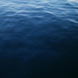 タチウオ終盤戦好調