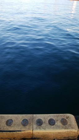 タチウオ終盤戦好調