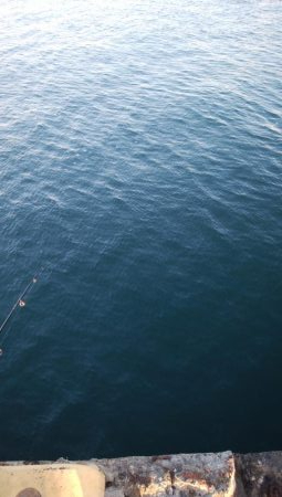 今期3匹目のドラゴン