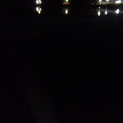 久々にタチウオ釣れた