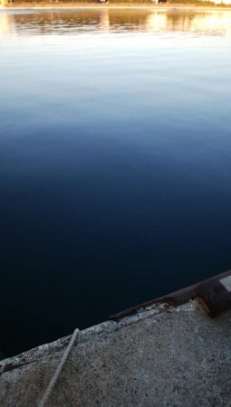 大晦日タチウオ釣り