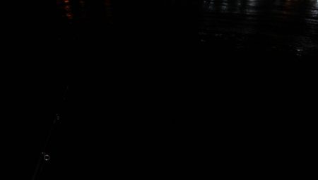 アジ◎　タチウオ✖