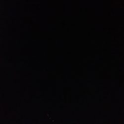 最湾奥ポイント釣行