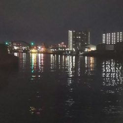 ぶらシーバス!!