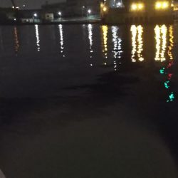 ぶらシーバス!!