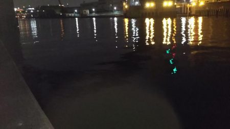 ぶらシーバス!!