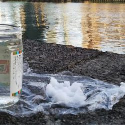 ぶら河川調査！！