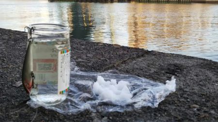 ぶら河川調査！！