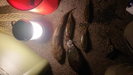 日曜日のんびり釣り