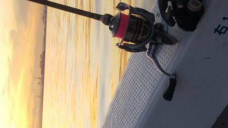 ロックフィッシュショート便❗️