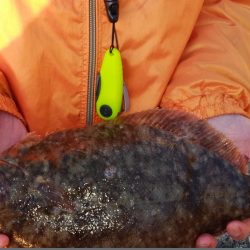 東二見人工島西水道へ落ちギス調査