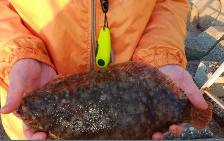 東二見人工島西水道へ落ちギス調査