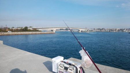 白灯台波止も落ちギス不在