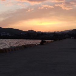 ラスト淡路釣行