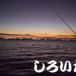 南芦屋浜へタチウオを釣りに行きました。