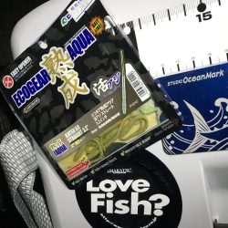 淡路がホームに