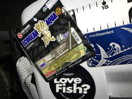 淡路がホームに