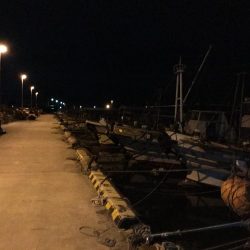 夜ライトロック