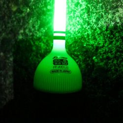 加太大波止でサバが釣れました