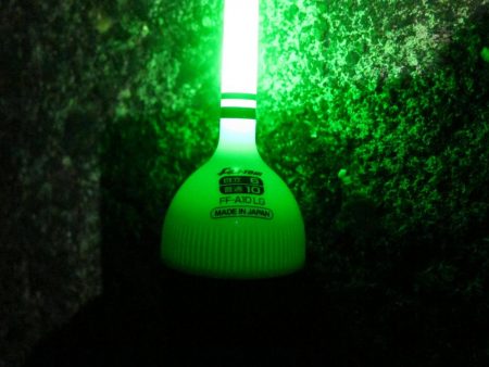 加太大波止でサバが釣れました