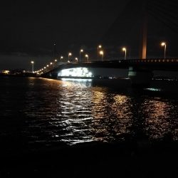 南港へち釣行 （12/05 南港ヘチ釣り キビレチヌ 43.5cm、ハゼ 釣果有り）