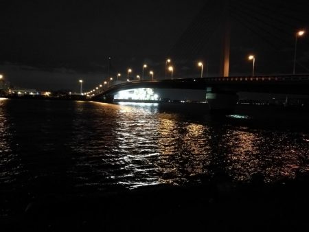 南港へち釣行 （12/05 南港ヘチ釣り キビレチヌ 43.5cm、ハゼ 釣果有り）