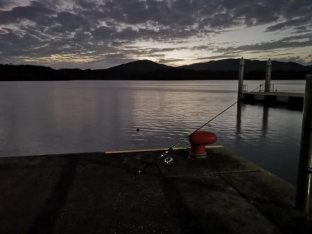 マイクロジギング釣果